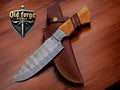 Premium Damascus Hunting Knives with Olive Wood Handle