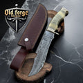Handmade Damascus Bowie Knife with Camel Bone Handle