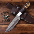 Handmade Damascus Steel Knife with Horn & Wood Handle